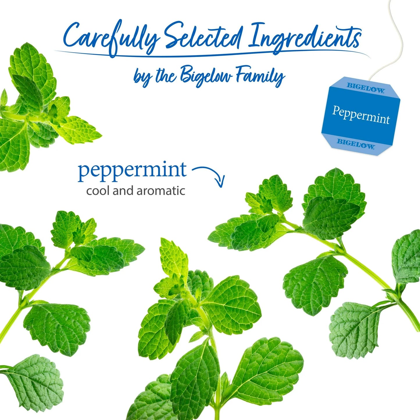 Bigelow Peppermint, Caffeine Free, Herbal Tea Bags, 20 Count